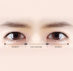 두 눈을 정면에서 본 일러스트 아래에 좌우 눈 가로폭과 눈 사이 간격을 재는 치수선이 그려진 도해