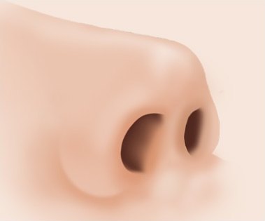 수술 후 코끝이 자연스럽게 올라간 완성 일러스트