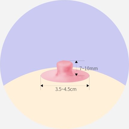 이상적인 유두·유륜 비율 도해 — 유두 높이 7~10mm, 유륜 지름 3.5~4.5cm