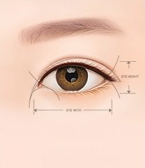 한쪽 눈 일러스트에 눈높이(EYE HEIGHT)와 눈폭(EYE WITH)을 재는 지시선이 표시된 그림