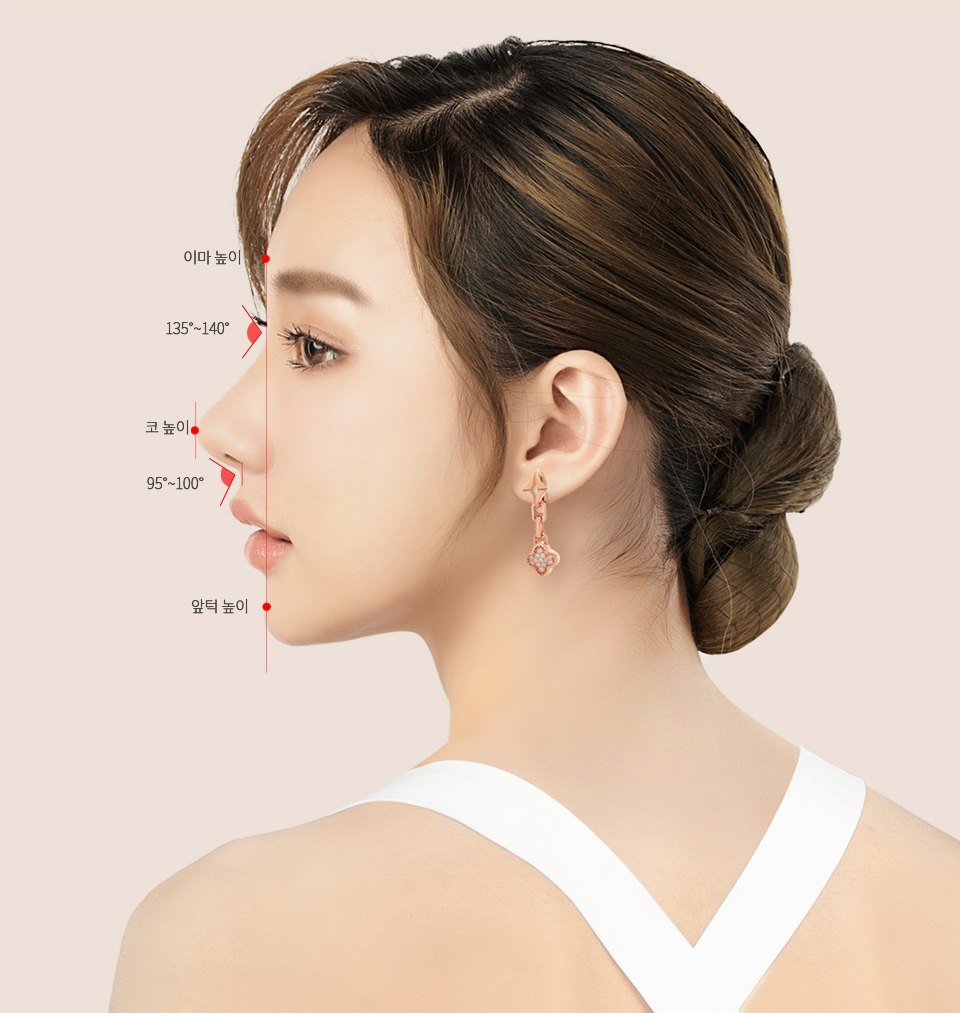 머리를 낮게 묶은 여성의 좌측 옆얼굴 코라인 계측 도해 — 이마 높이·코 높이·앞턱 높이 기준점과 이마와 콧대가 이루는 각 135°~140°, 코끝과 입술이 이루는 각 95°~100° 가 빨간 점과 선으로 표시되어 있다