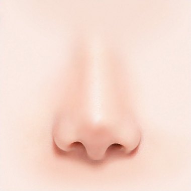 정면에서 본 코 3D 일러스트 — 코끝이 들려 콧구멍이 드러난 상태