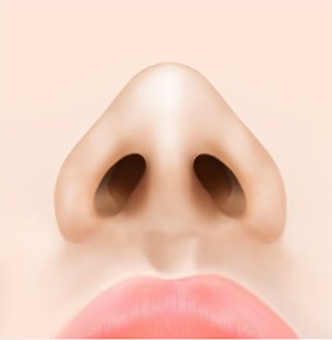콧볼이 좁아진 수술 후 코 정면 일러스트